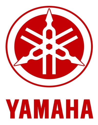 Palanca Pedal Cambio Yamaha Fz 25 250 Original Rpm®