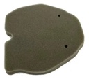 Filtro de Aire Benelli TNT 300 / 302R