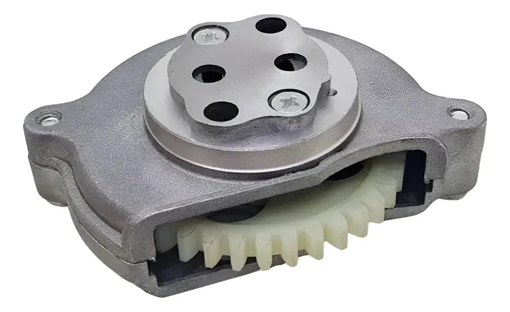 [MOT-FP001] Bomba De Aceite Honda  Storm 125 Titan  125 39 Dientes 