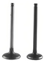 Juego De Valvulas Yamaha Crypton T105 