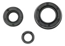 Juego Reten Suspension Yamaha Ybr 250 Ys 250 Fazer Rpm925