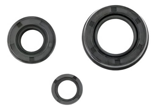 [MOT-RET116] Kit Retenes De Motor Honda Tornado Cbx 250 Twister Rpm