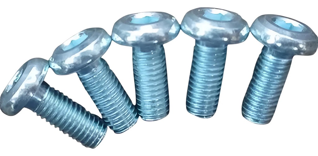 [TOR-DF204] Kit Tornillos Disco Freno Delantero Yamaha Fz 16