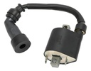 Bobina De Ignicion Suzuki Gixxer 150 W Standard Rpm